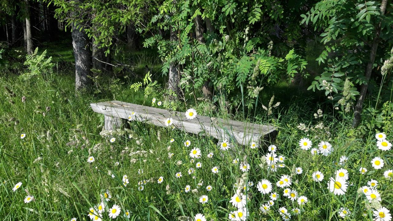 20210627_172544_resized 20210627_172544_resized